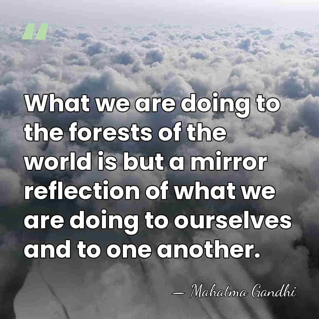 What we are doing to the forests of the world is but&hellip; - Mahatma Gandhi