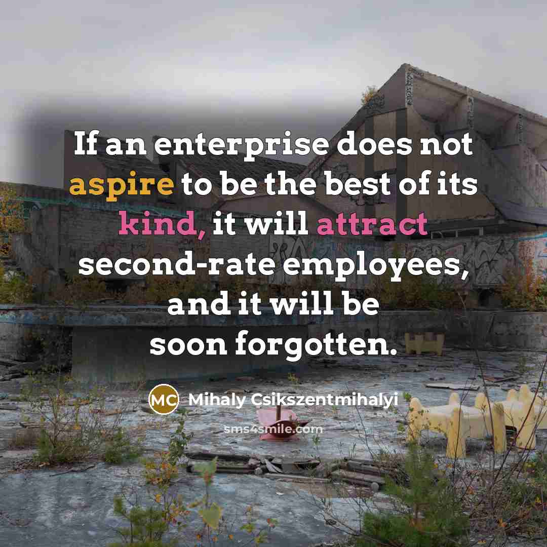 “If an enterprise does not aspire to be the best…” quote by Mihaly Csikszentmihalyi