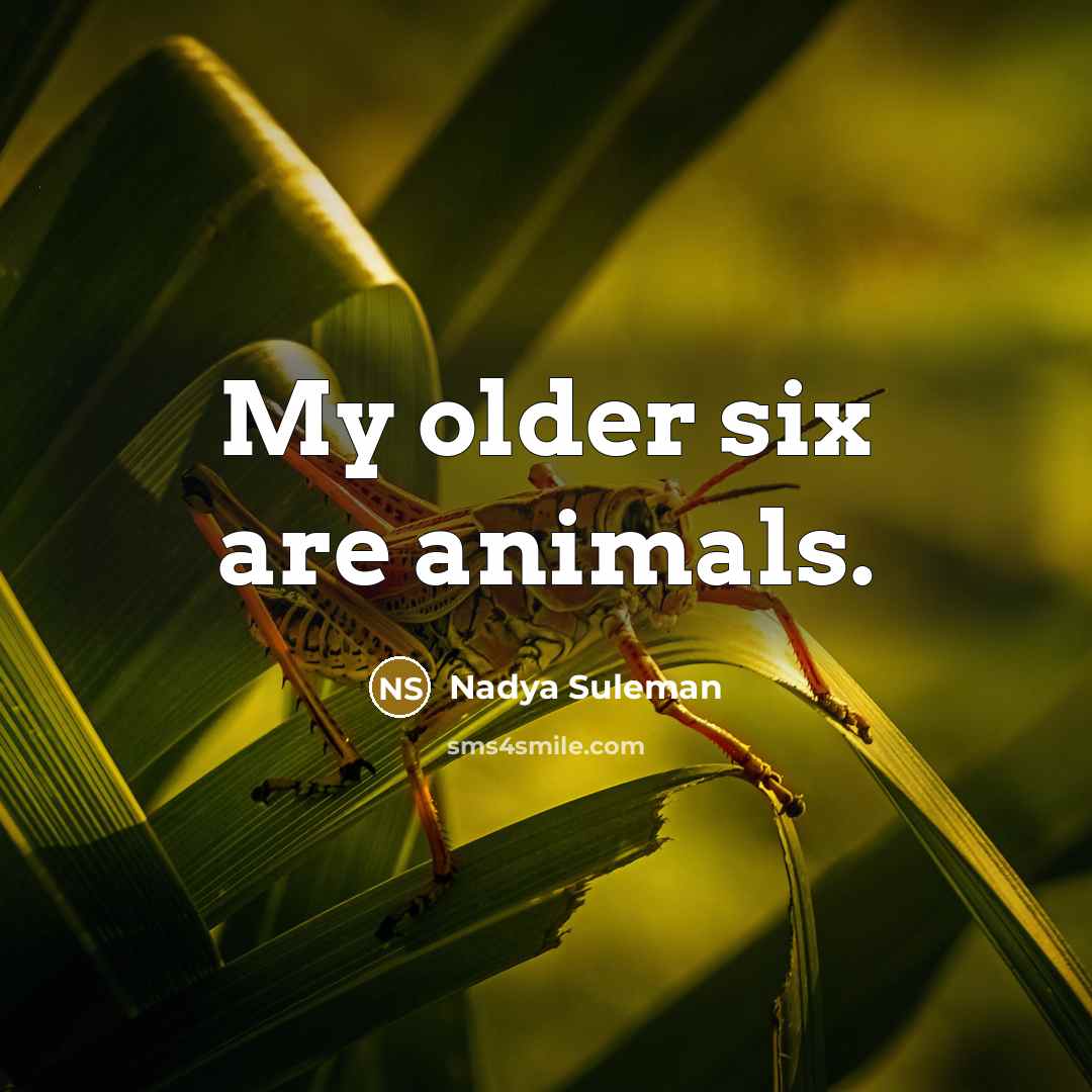 “My older six are animals.…” quote by Nadya Suleman