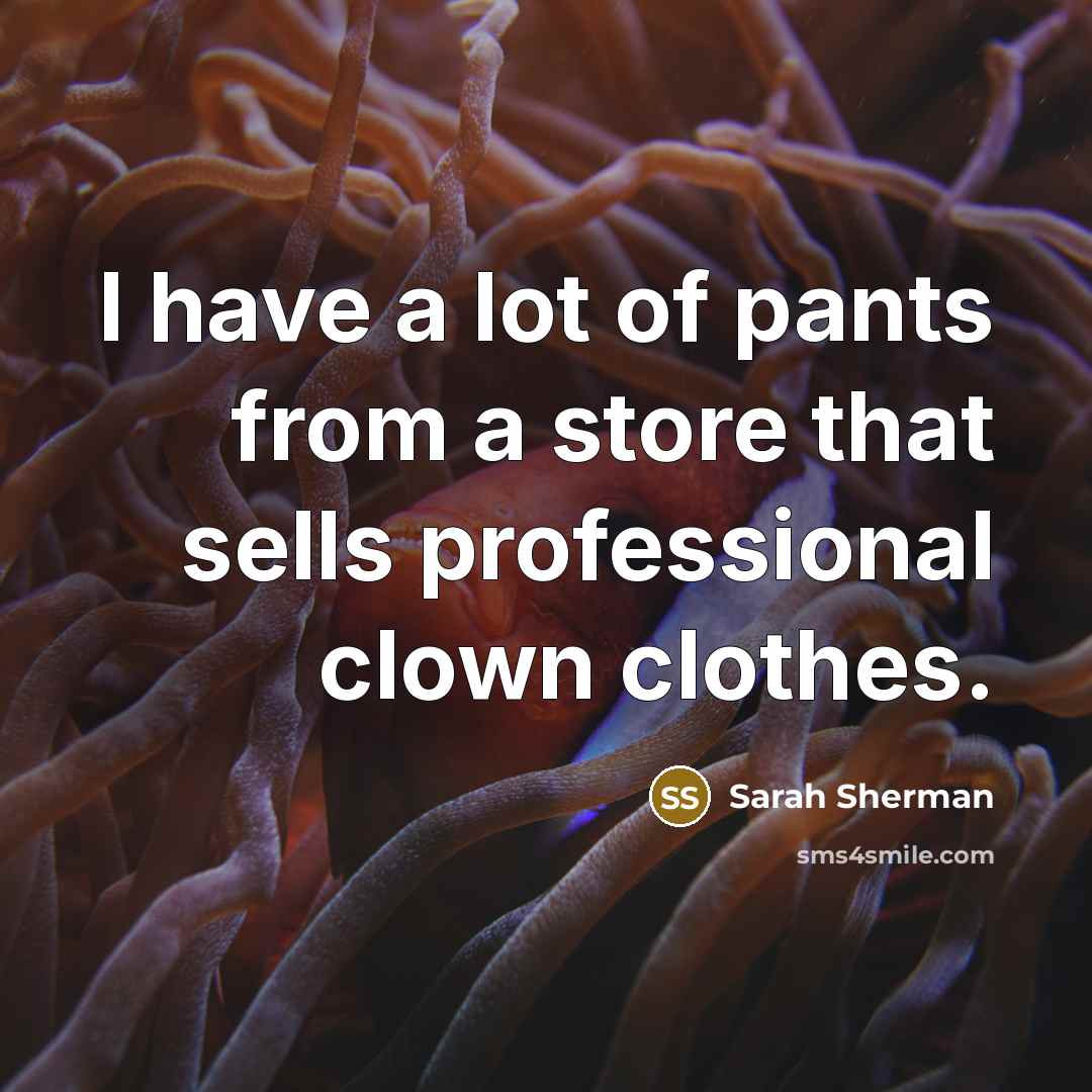 “I have a lot of pants from a store that…” quote by Sarah Sherman