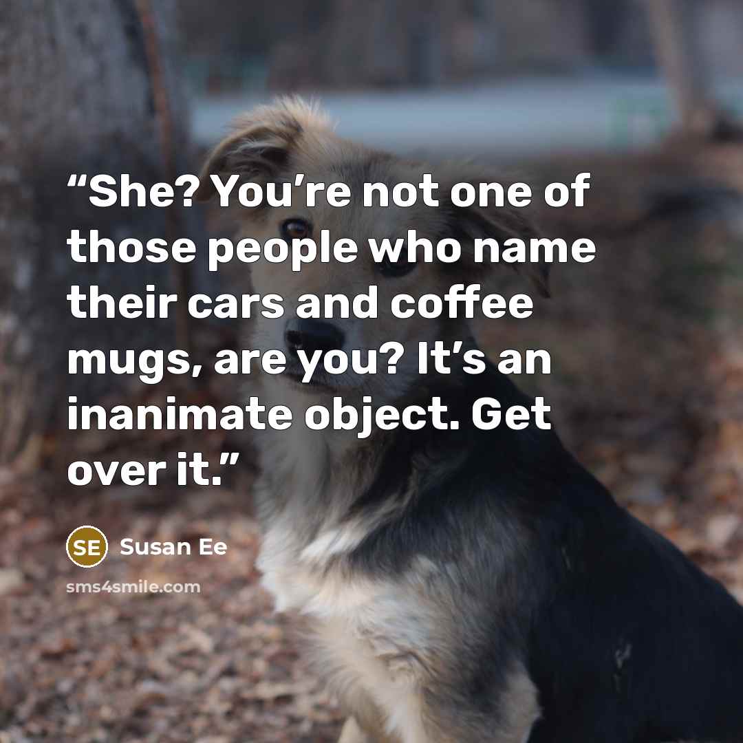 “She? You’re not one of those people who name their cars and coffee mugs, are you? It’s an inanimate object. Get over it.” quote by Susan Ee