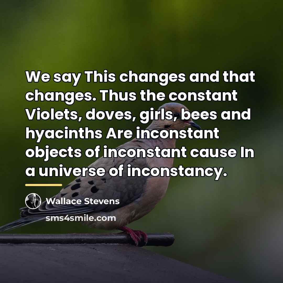 “We say This changes and that changes. Thus the constant…” quote by Wallace Stevens