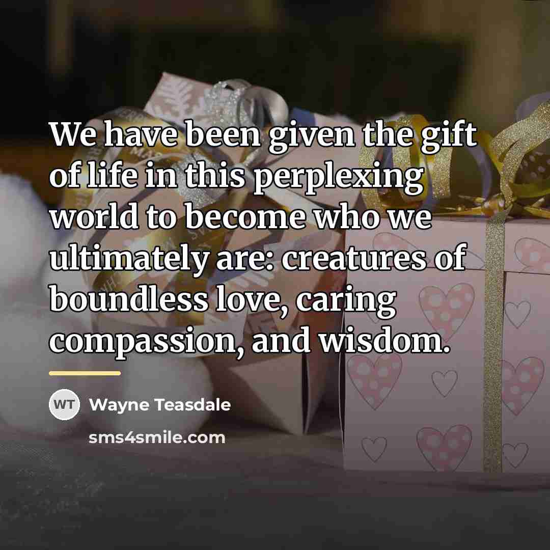 “We have been given the gift of life in this…” quote by Wayne Teasdale