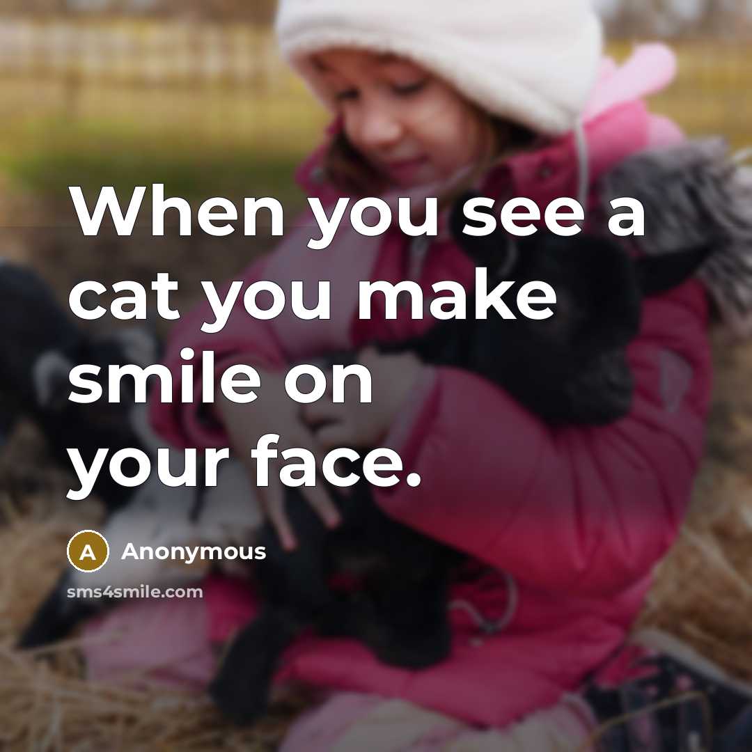 “When you see a cat you make smile on your…” quote by Anonymous