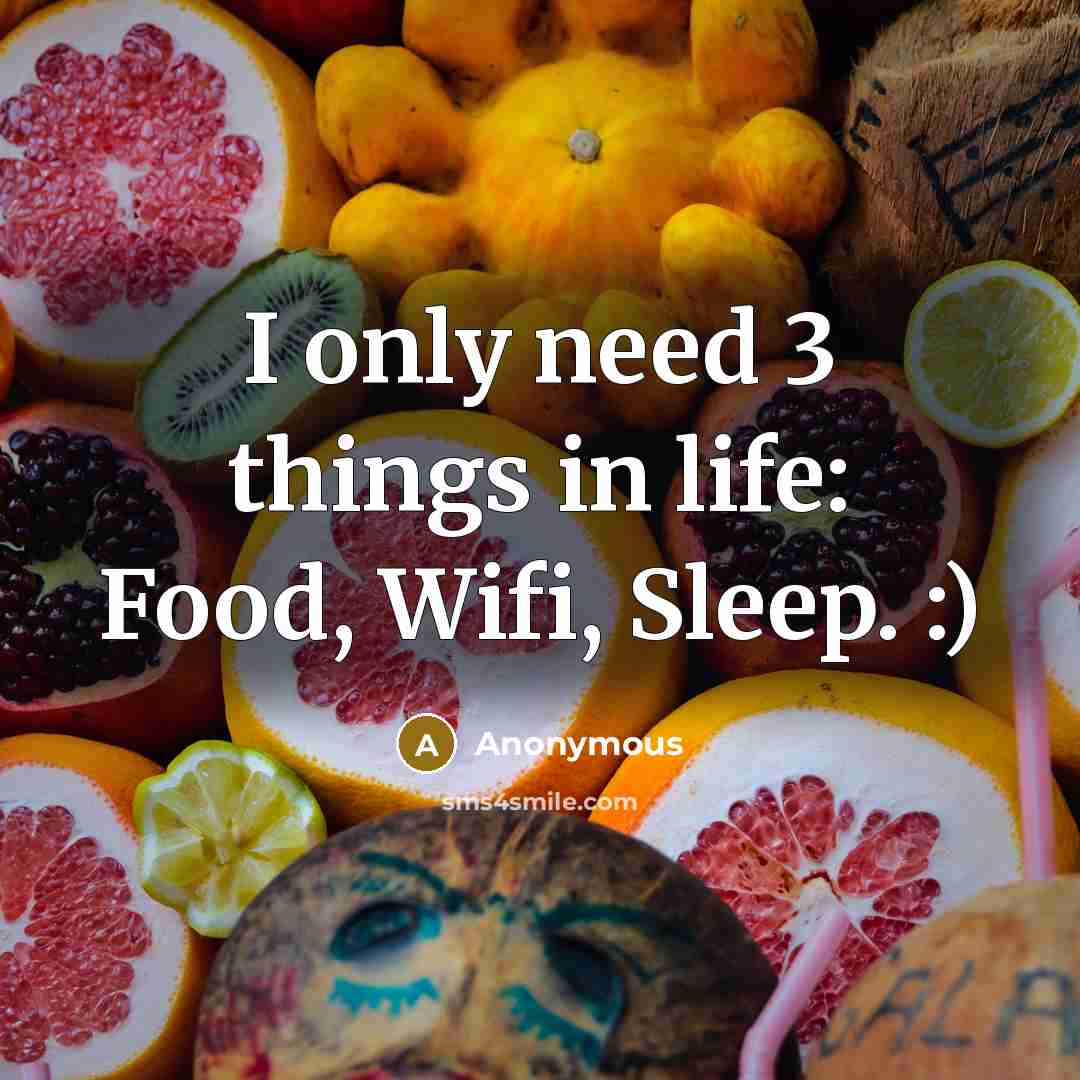 “I only need 3 things in life: Food, Wifi, Sleep.…” quote by Anonymous