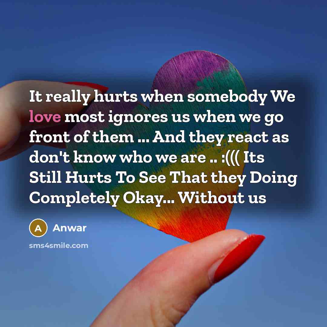 “It really hurts when somebody We love most ignores us…” quote by Anwar