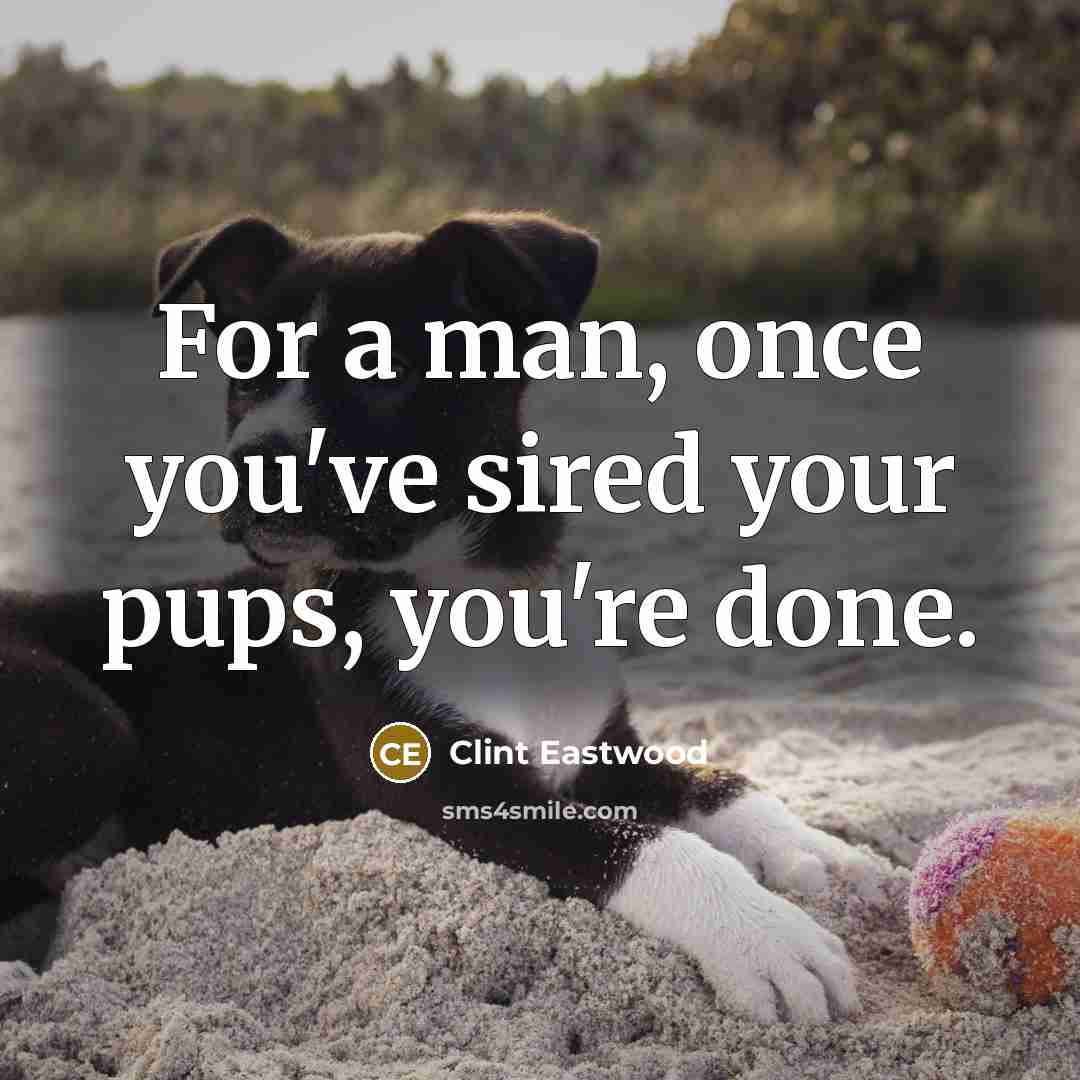 “For a man, once you've sired your pups, you're done.…” quote by Clint Eastwood