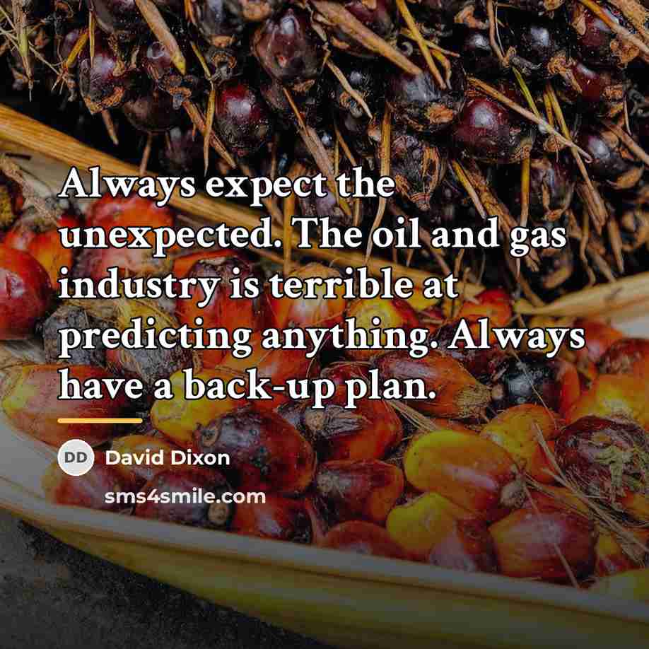 “Always expect the unexpected. The oil and gas industry is…” quote by David Dixon