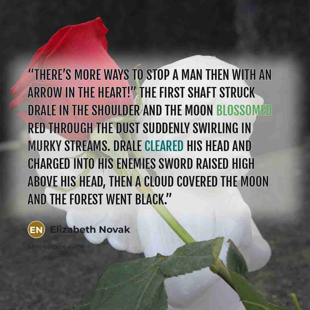“There’s more ways to stop a man then with an arrow in the heart!” the first shaft struck Drale in the shoulder and the moon blossomed red through the dust suddenly swirling in murky streams. Drale cleared his head and charged into his enemies sword raised high above his head, then a cloud covered…” quote by Elizabeth Novak
