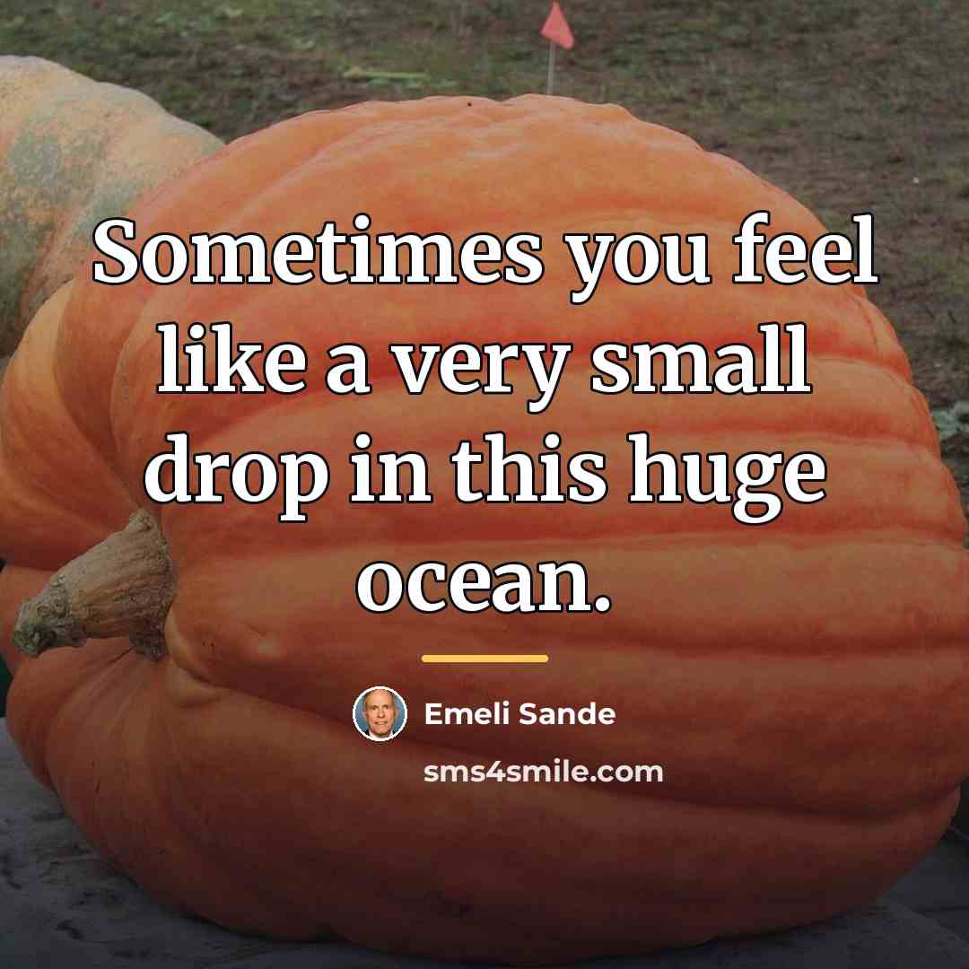 “Sometimes you feel like a very small drop in this…” quote by Emeli Sande