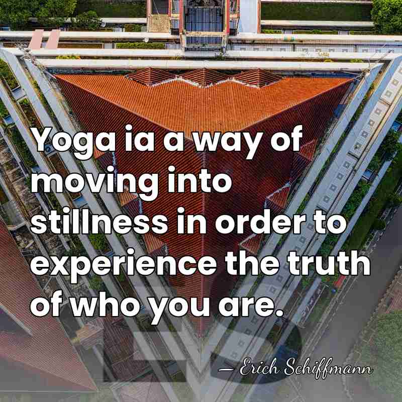 Yoga ia a way of moving into stillness in order to experience&hellip; - Erich Schiffmann