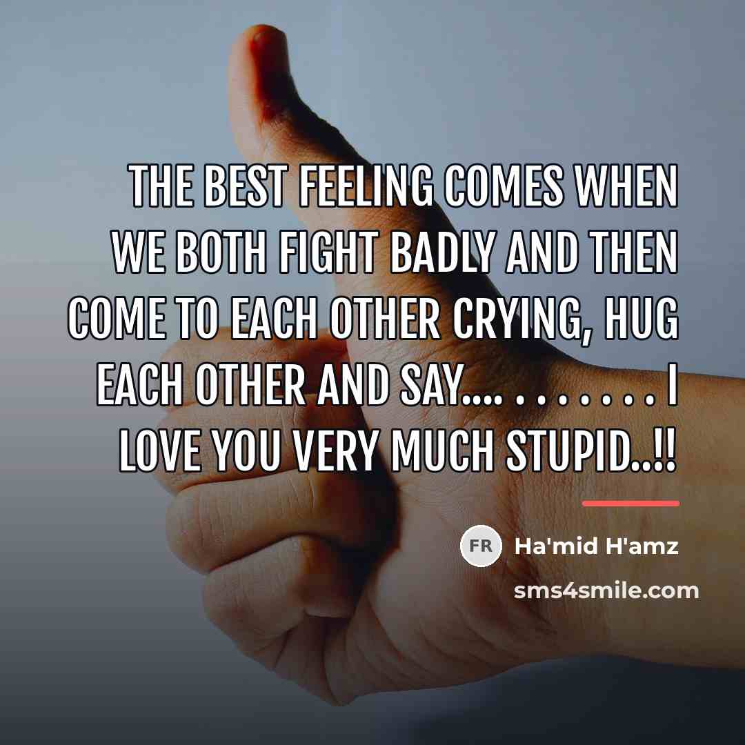 “The Best Feeling Comes When We Both Fight Badly And…” quote by Ha'mid H'amz