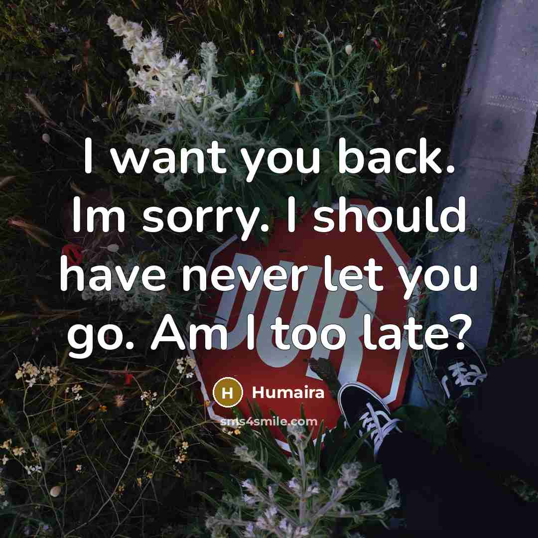 “I want you back. Im sorry. I should have never…” quote by Humaira