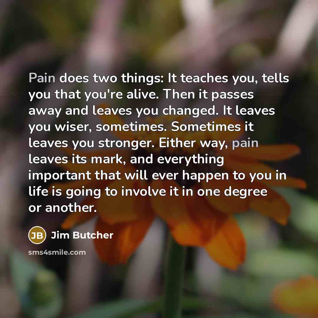 “Pain does two things: It teaches you, tells you that…” quote by Jim Butcher