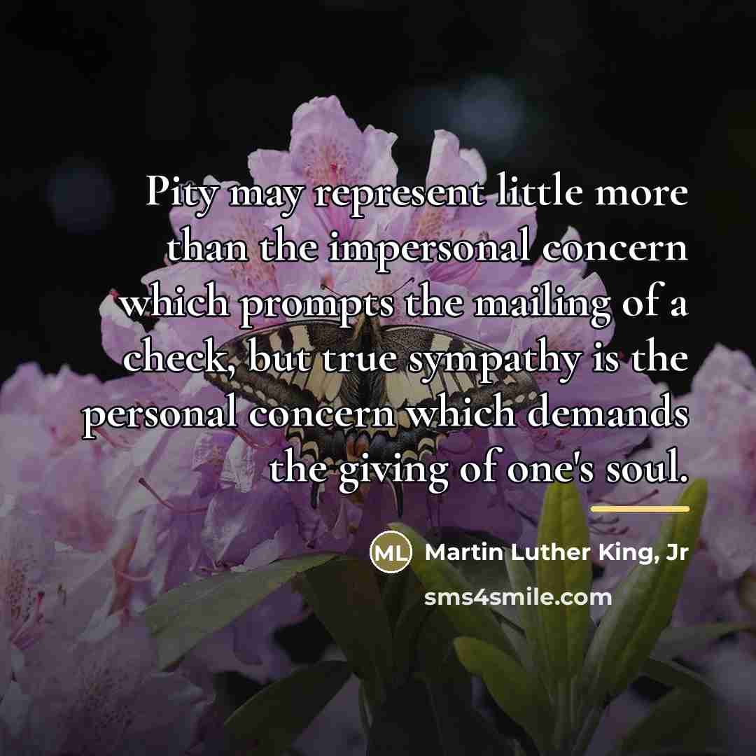 “Pity may represent little more than the impersonal concern which…” quote by Martin Luther King, Jr