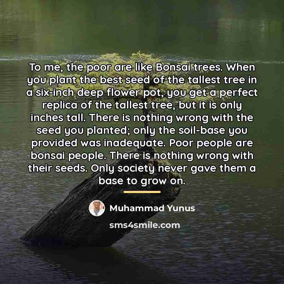 “To me, the poor are like Bonsai trees. When you…” quote by Muhammad Yunus