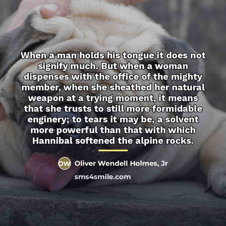 “When a man holds his tongue it does not signify…” quote by Oliver Wendell Holmes, Jr