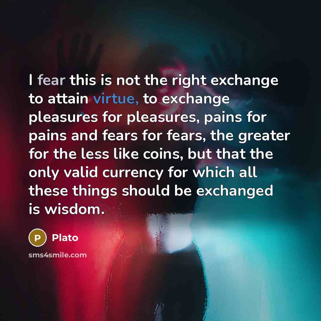 “I fear this is not the right exchange to attain…” quote by Plato