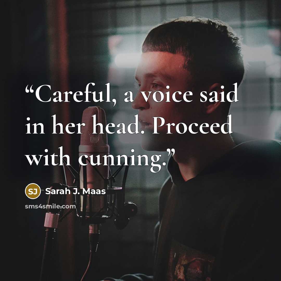 “Careful, a voice said in her head. Proceed with cunning.” quote by Sarah J. Maas