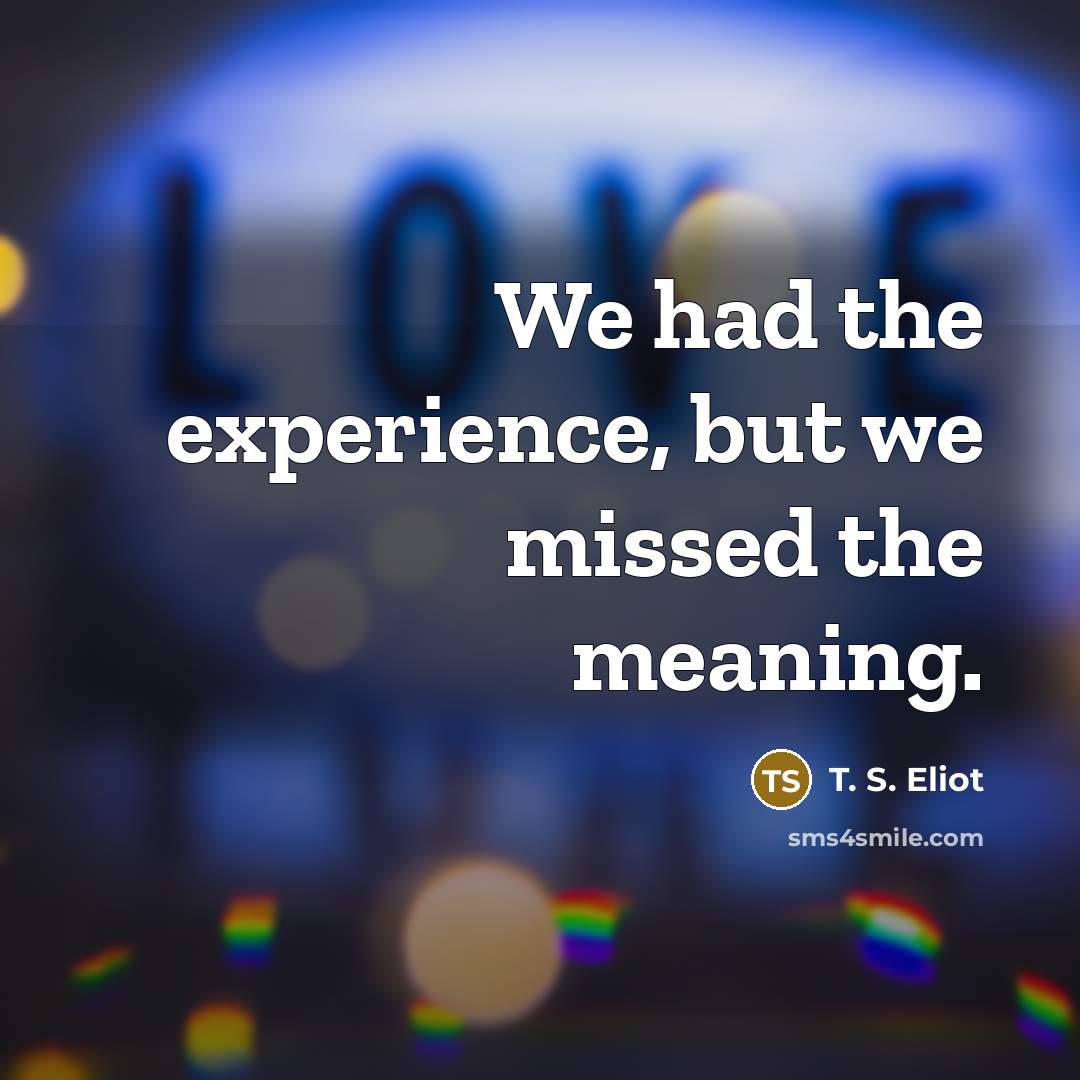 “We had the experience, but we missed the meaning.…” quote by T. S. Eliot