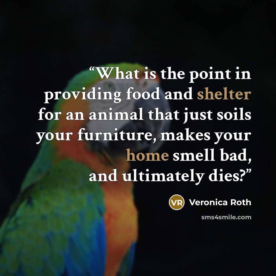 “What is the point in providing food and shelter for an animal that just soils your furniture, makes your home smell bad, and ultimately dies?” quote by Veronica Roth