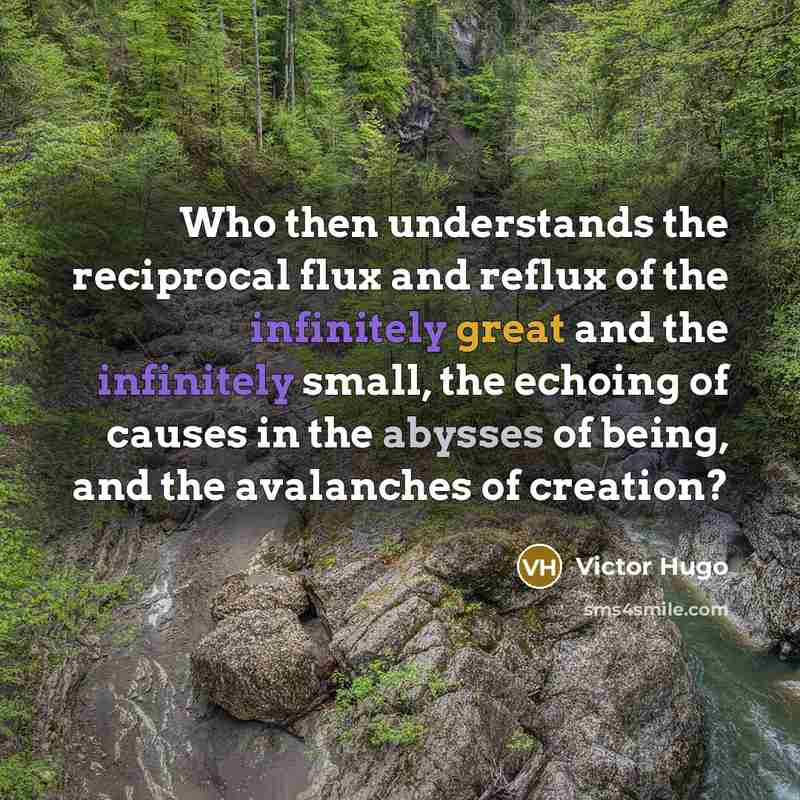 “Who then understands the reciprocal flux and reflux of the…” quote by Victor Hugo