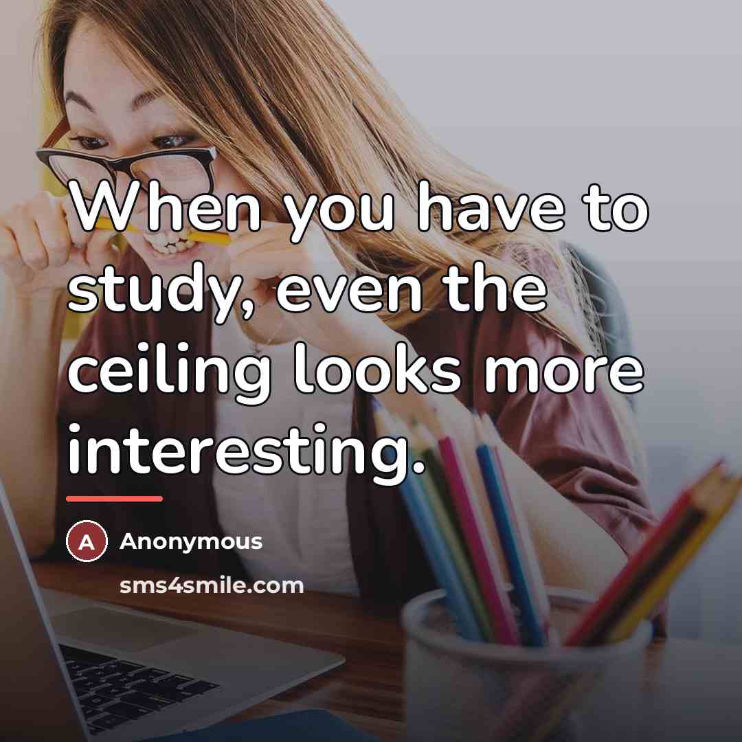 “When you have to study, even the ceiling looks more…” quote by Anonymous