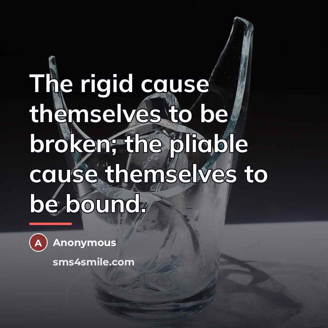 “The rigid cause themselves to be broken; the pliable cause…” quote by Anonymous