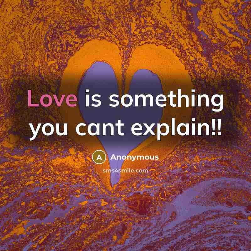 “Love is something you cant explain!!” quote by Anonymous