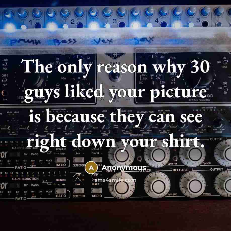 “The only reason why 30 guys liked your picture is because they can see right down your shirt.” quote by Anonymous