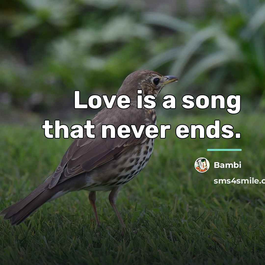 “Love is a song that never ends.…” quote by Bambi