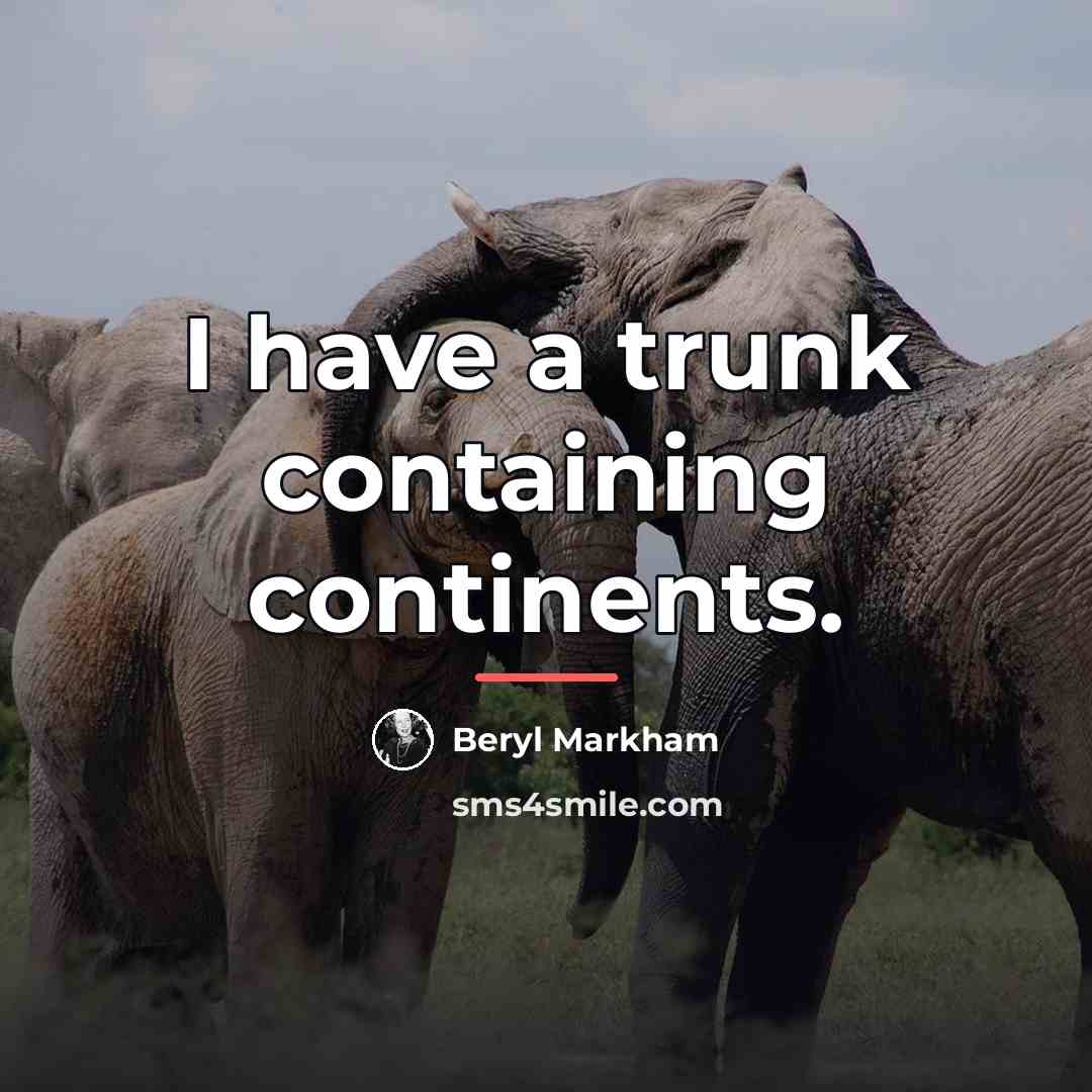 “I have a trunk containing continents.…” quote by Beryl Markham