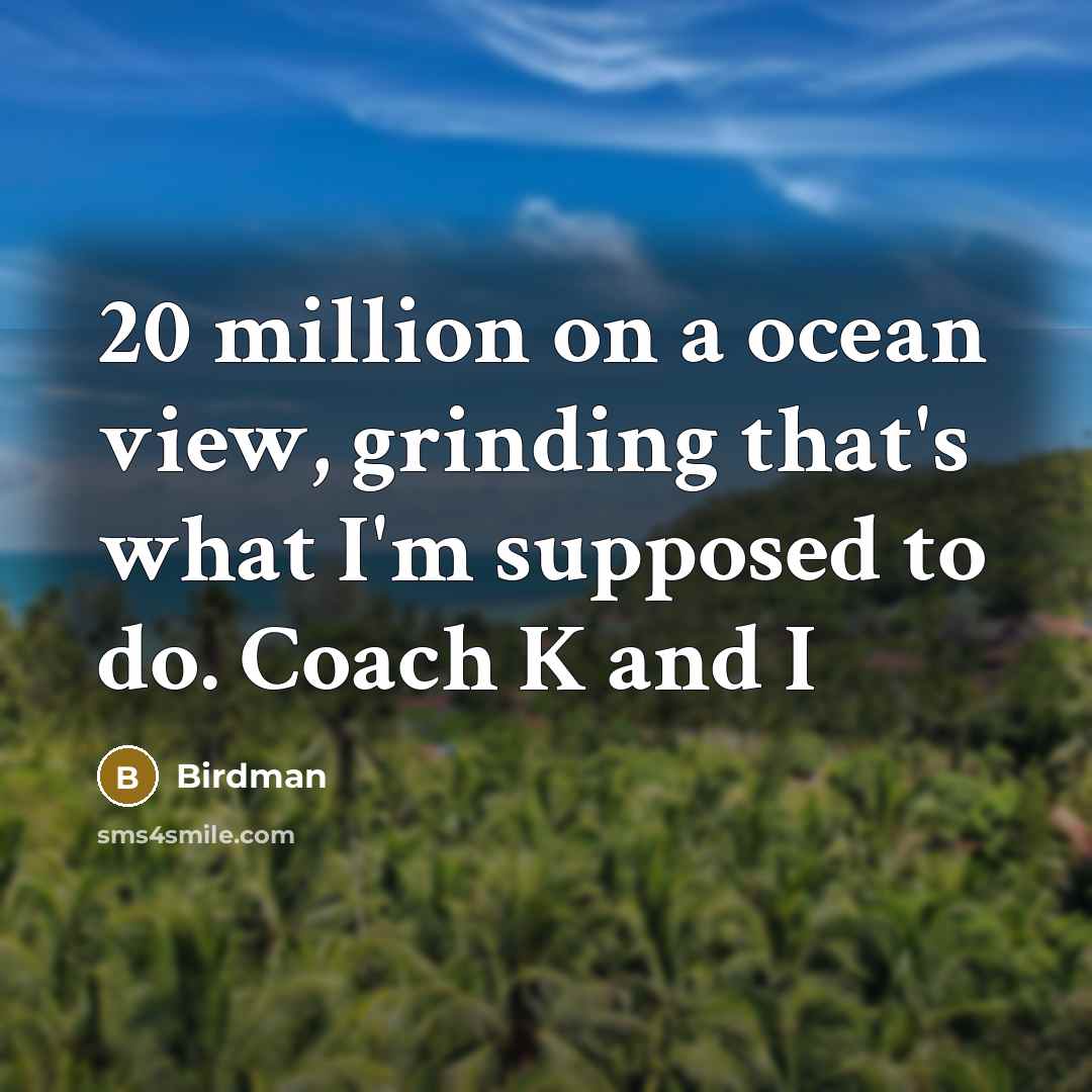 “20 million on a ocean view, grinding that's what I'm…” quote by Birdman