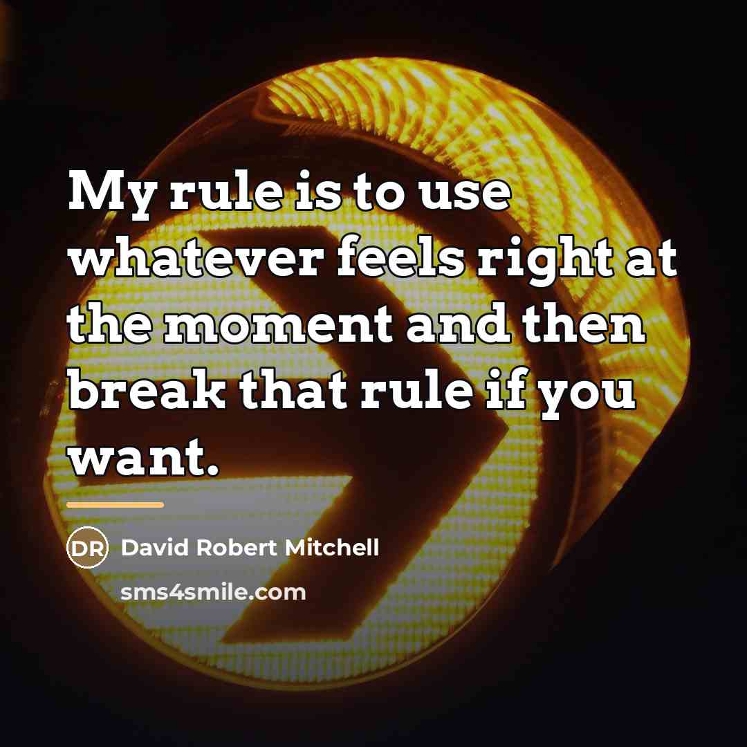 “My rule is to use whatever feels right at the…” quote by David Robert Mitchell