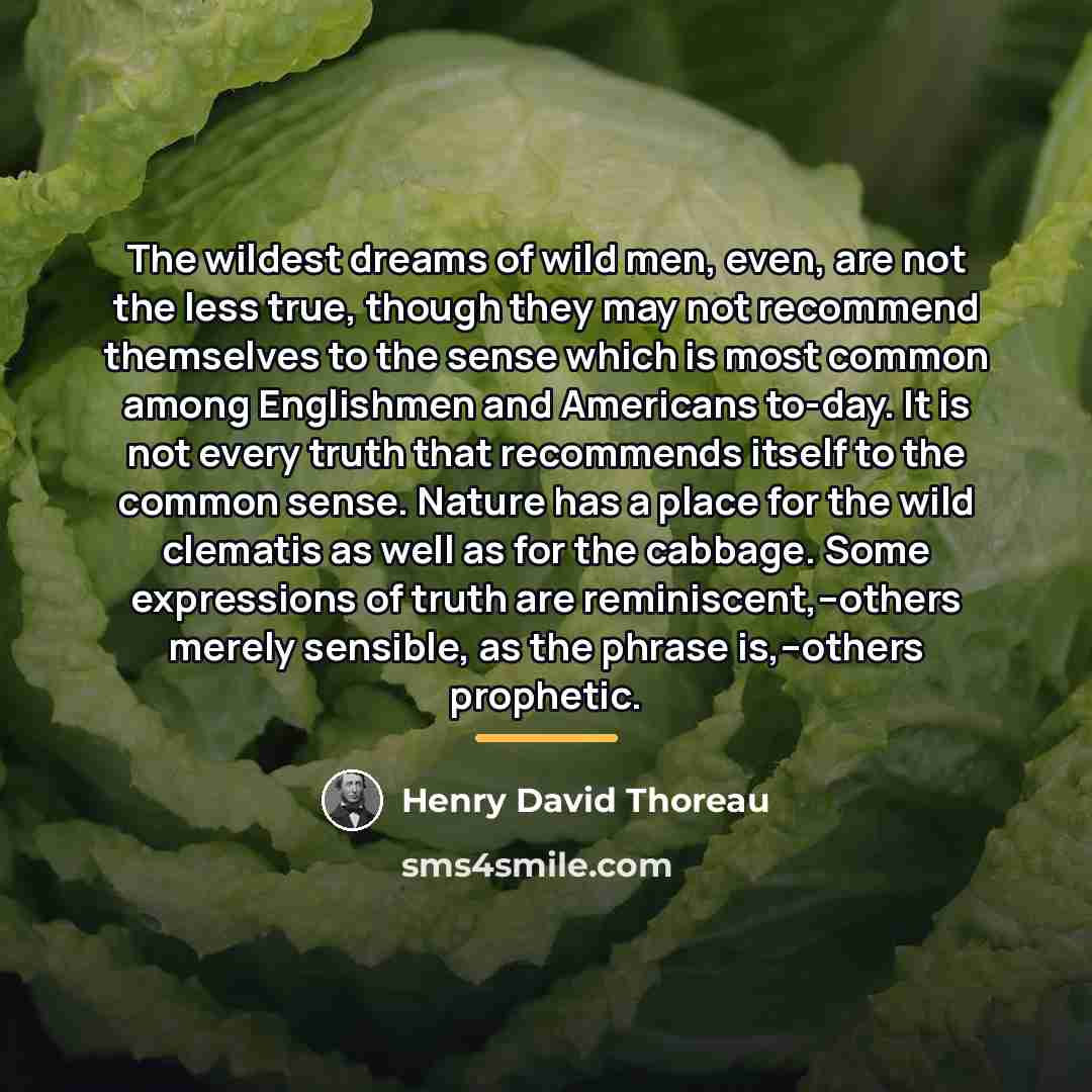 “The wildest dreams of wild men, even, are not the…” quote by Henry David Thoreau