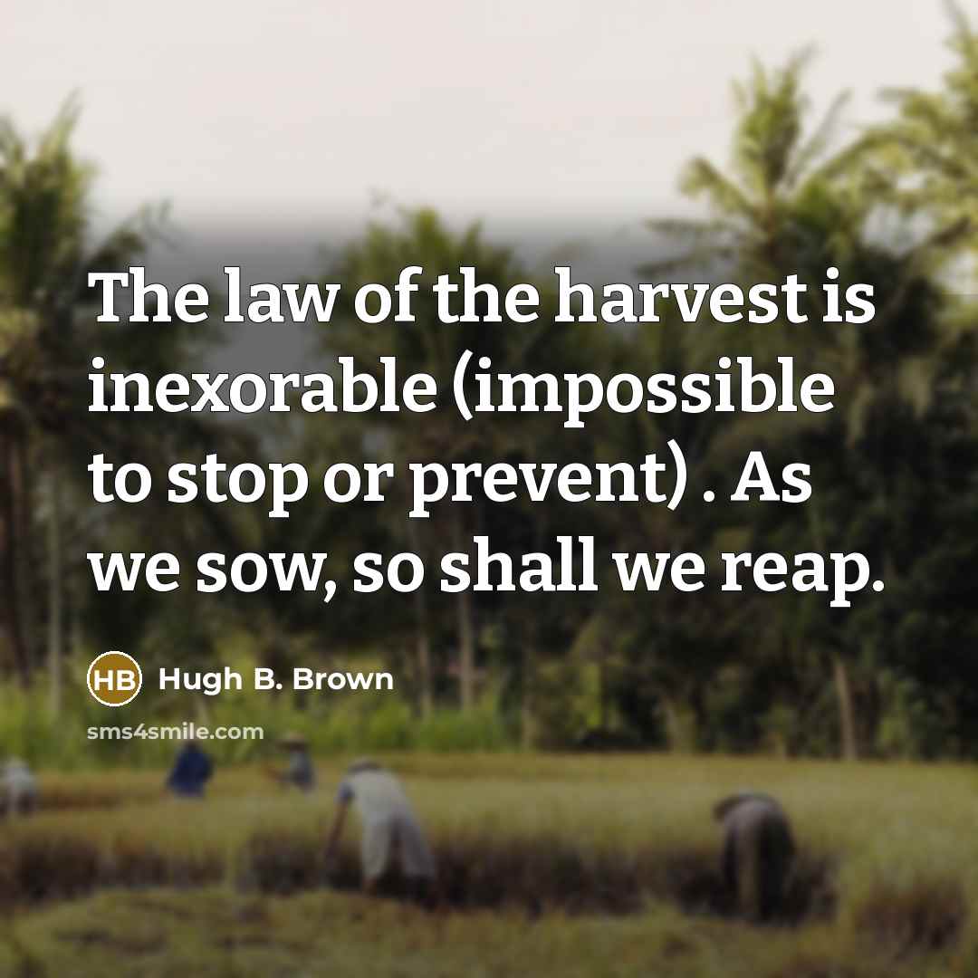 “The law of the harvest is inexorable (impossible to stop…” quote by Hugh B. Brown