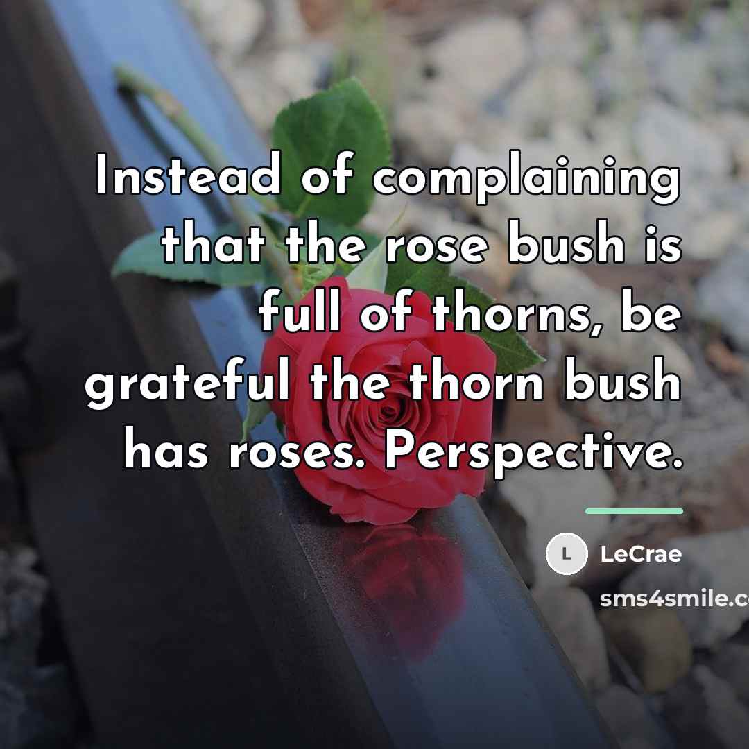 “Instead of complaining that the rose bush is full of…” quote by LeCrae