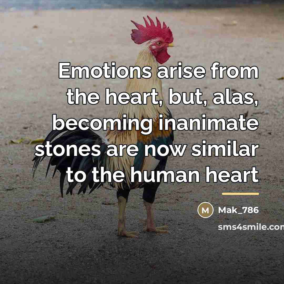“Emotions arise from the heart, but, alas, becoming inanimate stones…” quote by Mak_786
