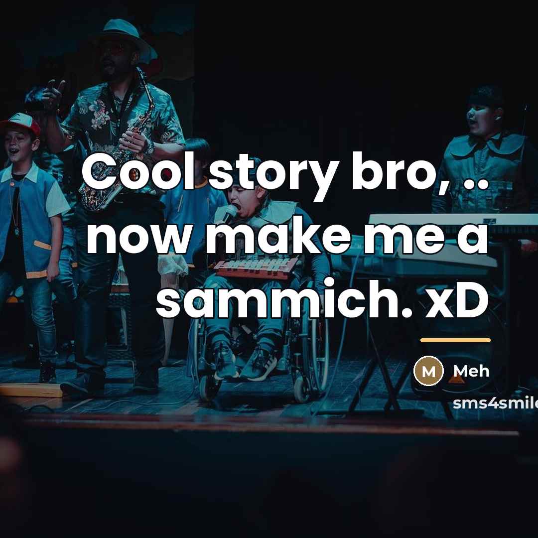 “Cool story bro, .. now make me a sammich. xD…” quote by Meh