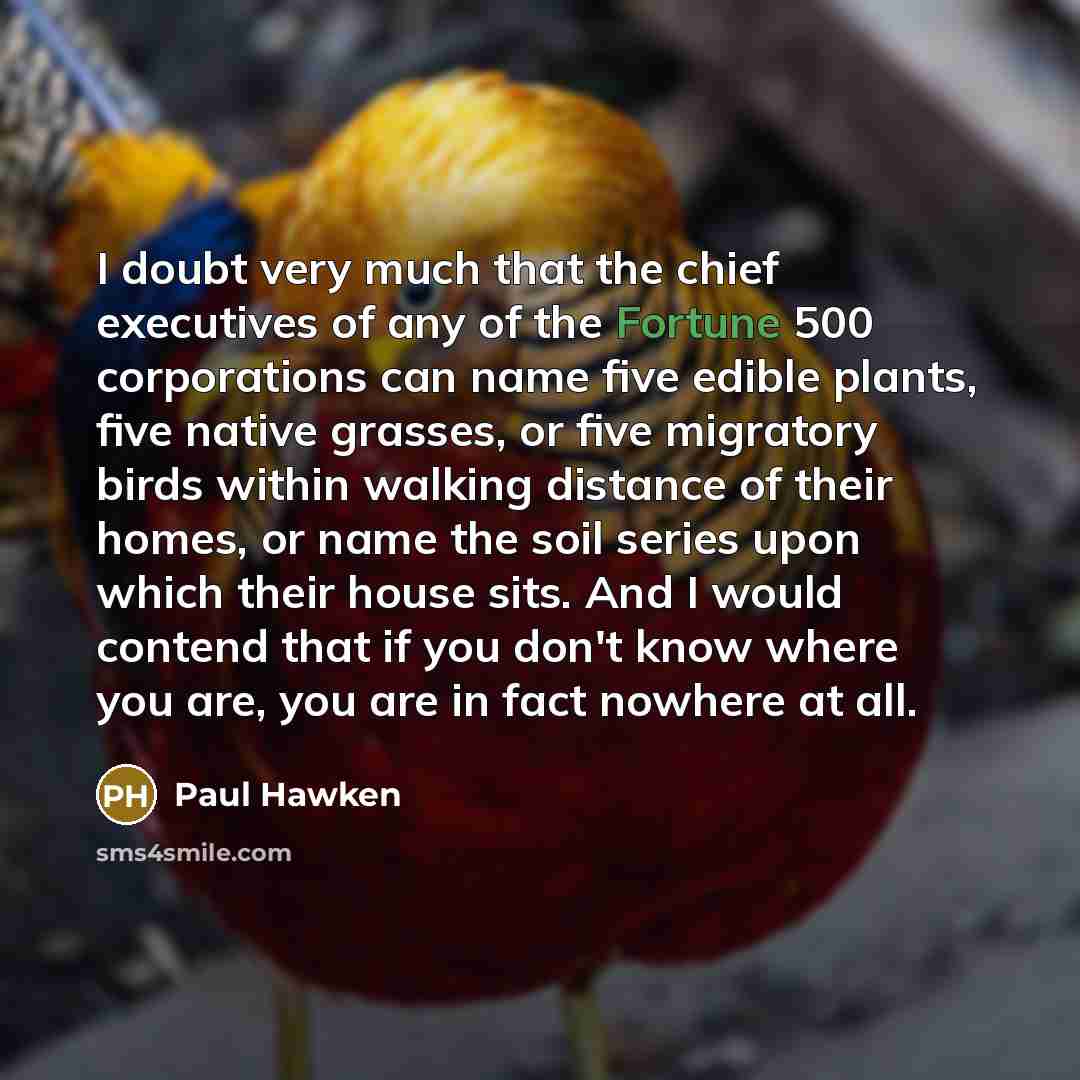 “I doubt very much that the chief executives of any…” quote by Paul Hawken