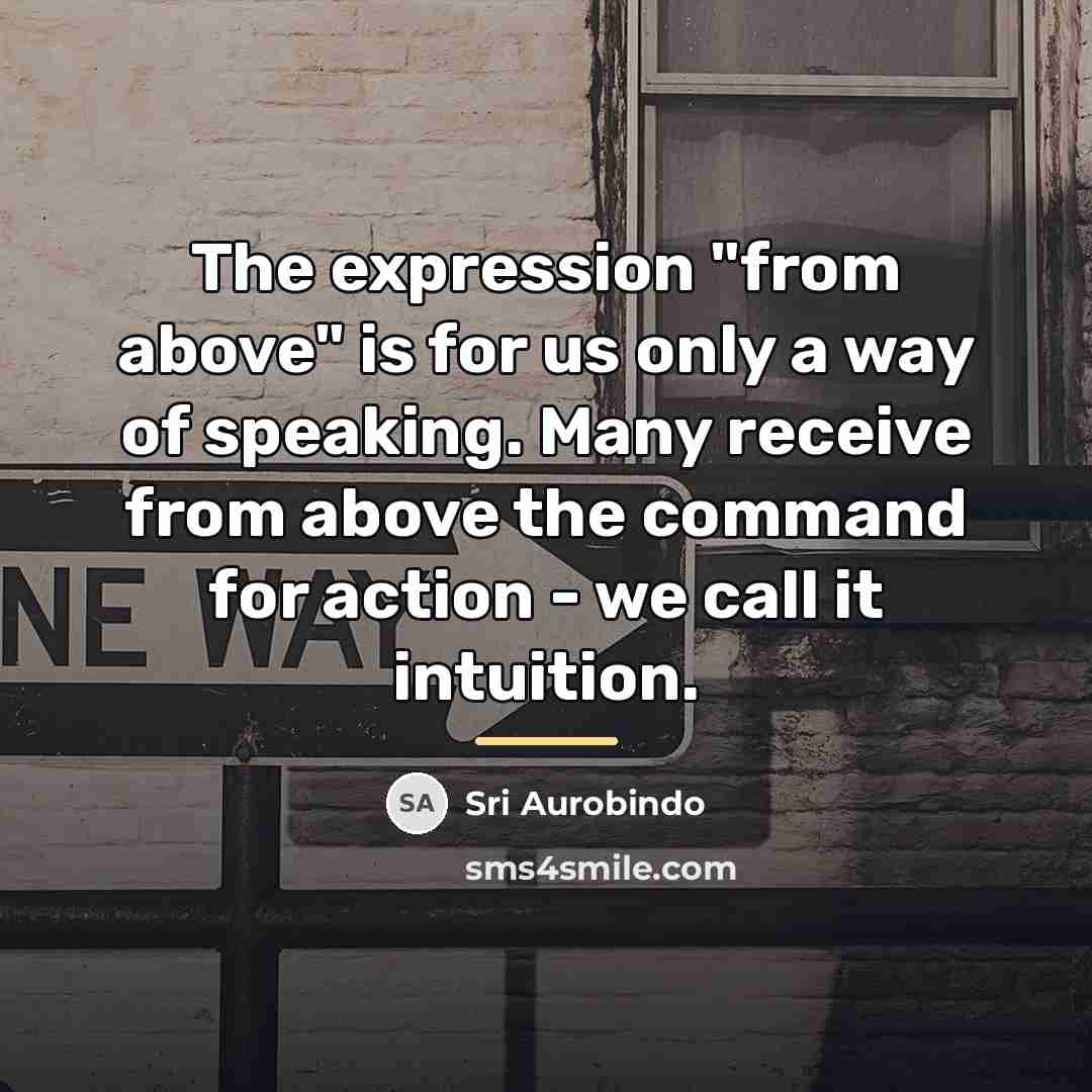 “The expression "from above" is for us only a way…” quote by Sri Aurobindo
