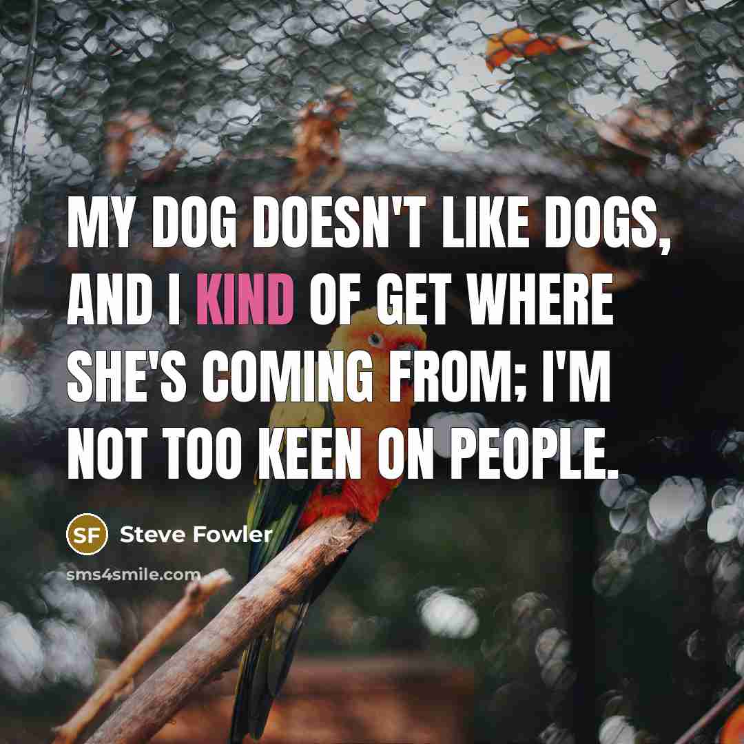 “My dog doesn't like dogs, and I kind of get where she's coming from; I'm not too keen on people.” quote by Steve Fowler