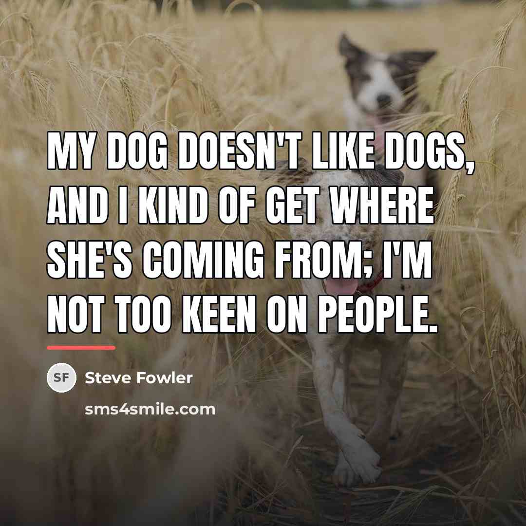 “My dog doesn't like dogs, and I kind of get…” quote by Steve Fowler