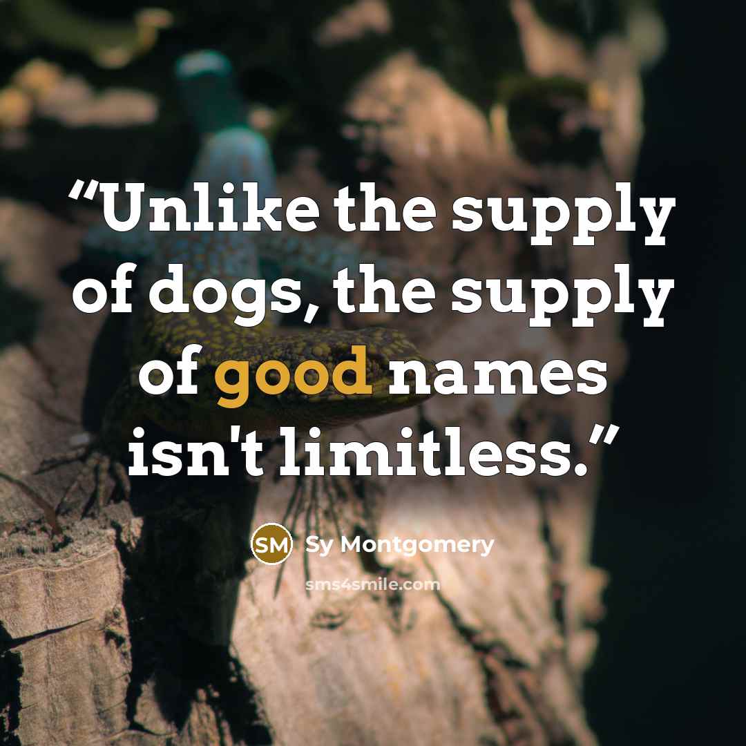 “Unlike the supply of dogs, the supply of good names isn't limitless.” quote by Sy Montgomery