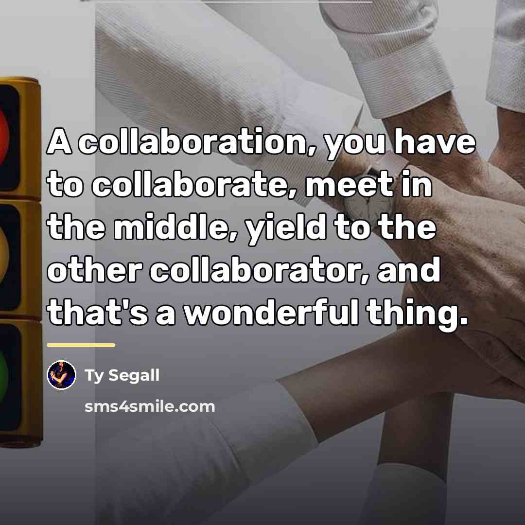 “A collaboration, you have to collaborate, meet in the middle,…” quote by Ty Segall
