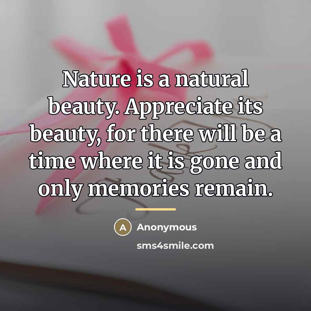 “Nature is a natural beauty. Appreciate its beauty, for there…” quote by Anonymous