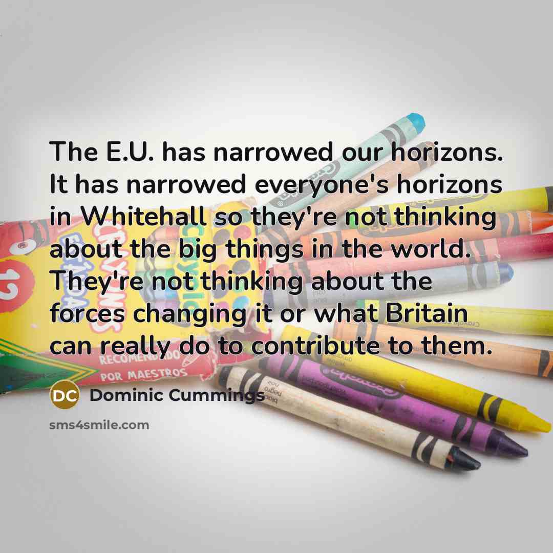 “The E.U. has narrowed our horizons. It has narrowed everyone's…” quote by Dominic Cummings