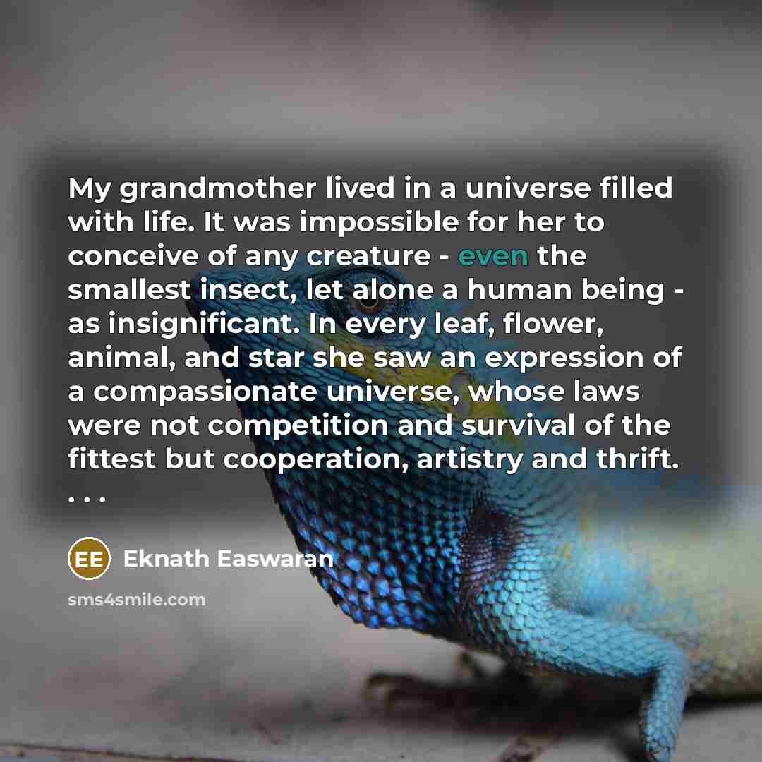 “My grandmother lived in a universe filled with life. It…” quote by Eknath Easwaran
