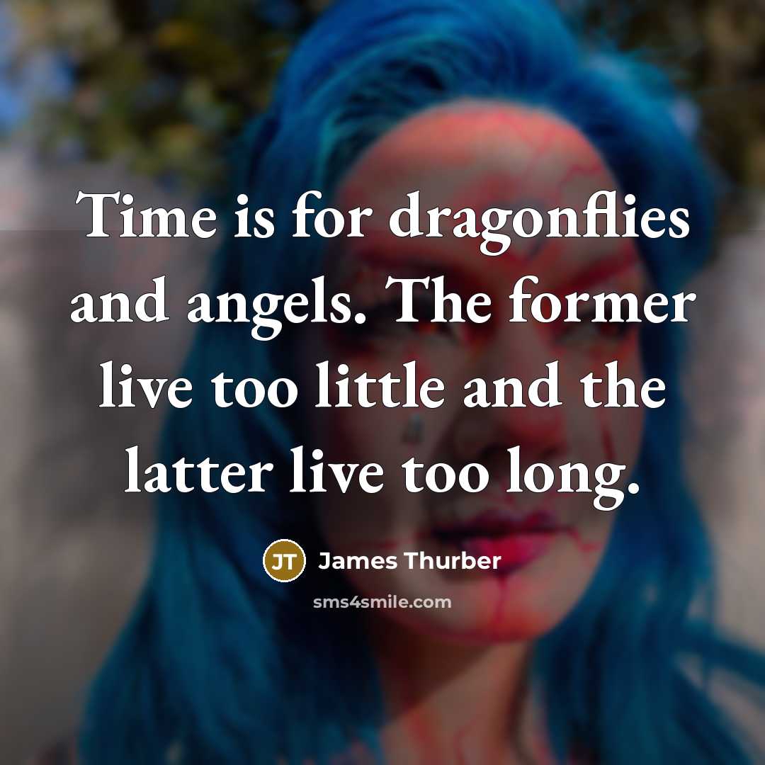 “Time is for dragonflies and angels. The former live too…” quote by James Thurber
