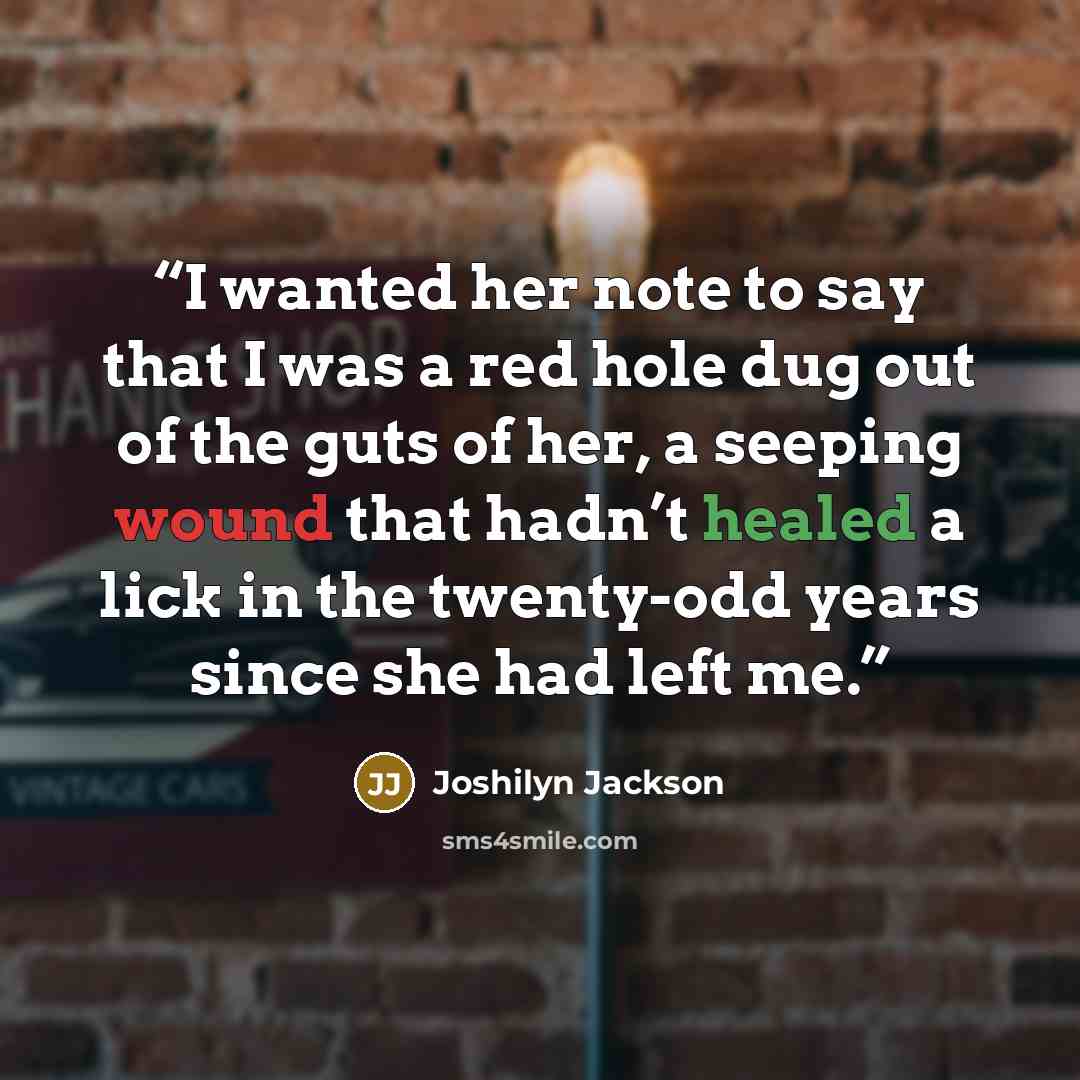 “I wanted her note to say that I was a red hole dug out of the guts of her, a seeping wound that hadn’t healed a lick in the twenty-odd years since she had left me.” quote by Joshilyn Jackson